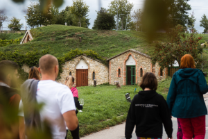 Creative teambuilding vinařství Horák