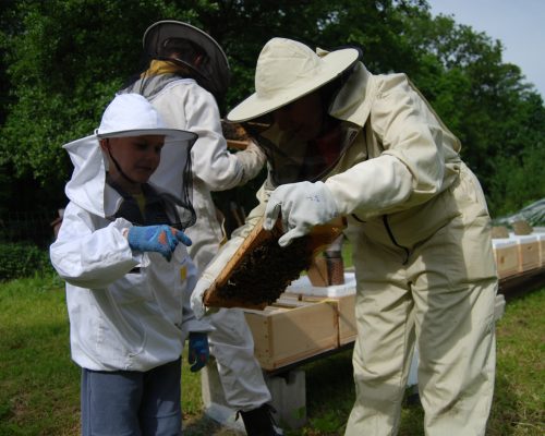 Creative teambuilding včelářství Annkas