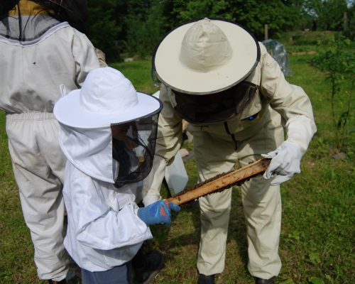 Creative teambuilding včelářství Annkas