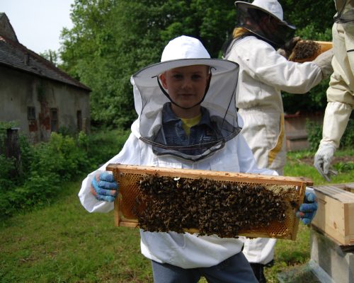 Creative teambuilding včelářství Annkas